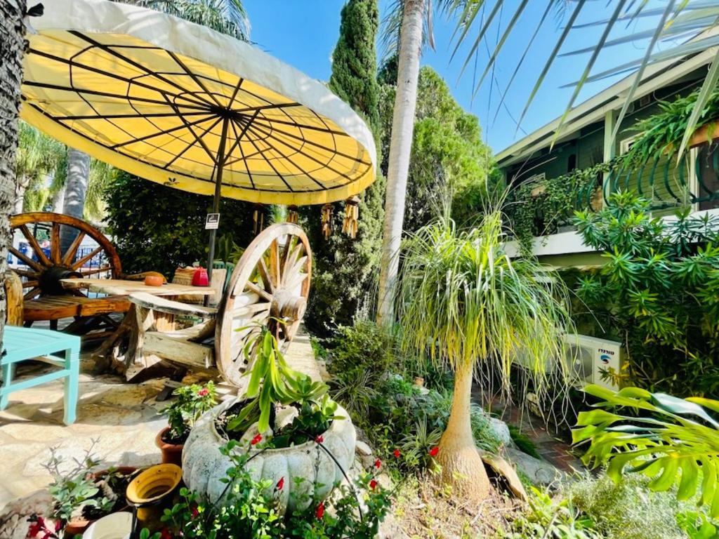 Out Of Africa Resort Had Nes Dış mekan fotoğraf