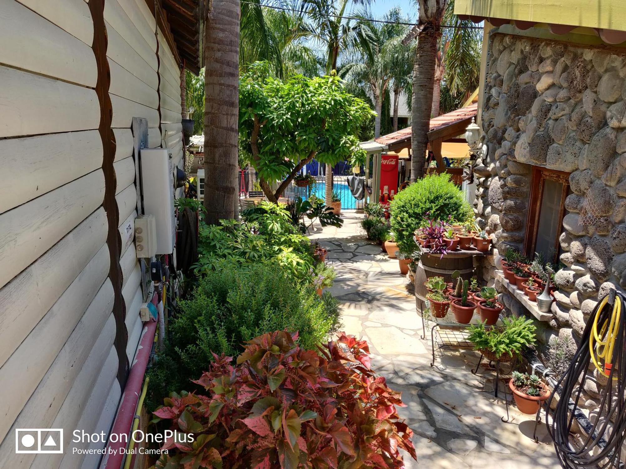 Out Of Africa Resort Had Nes Oda fotoğraf