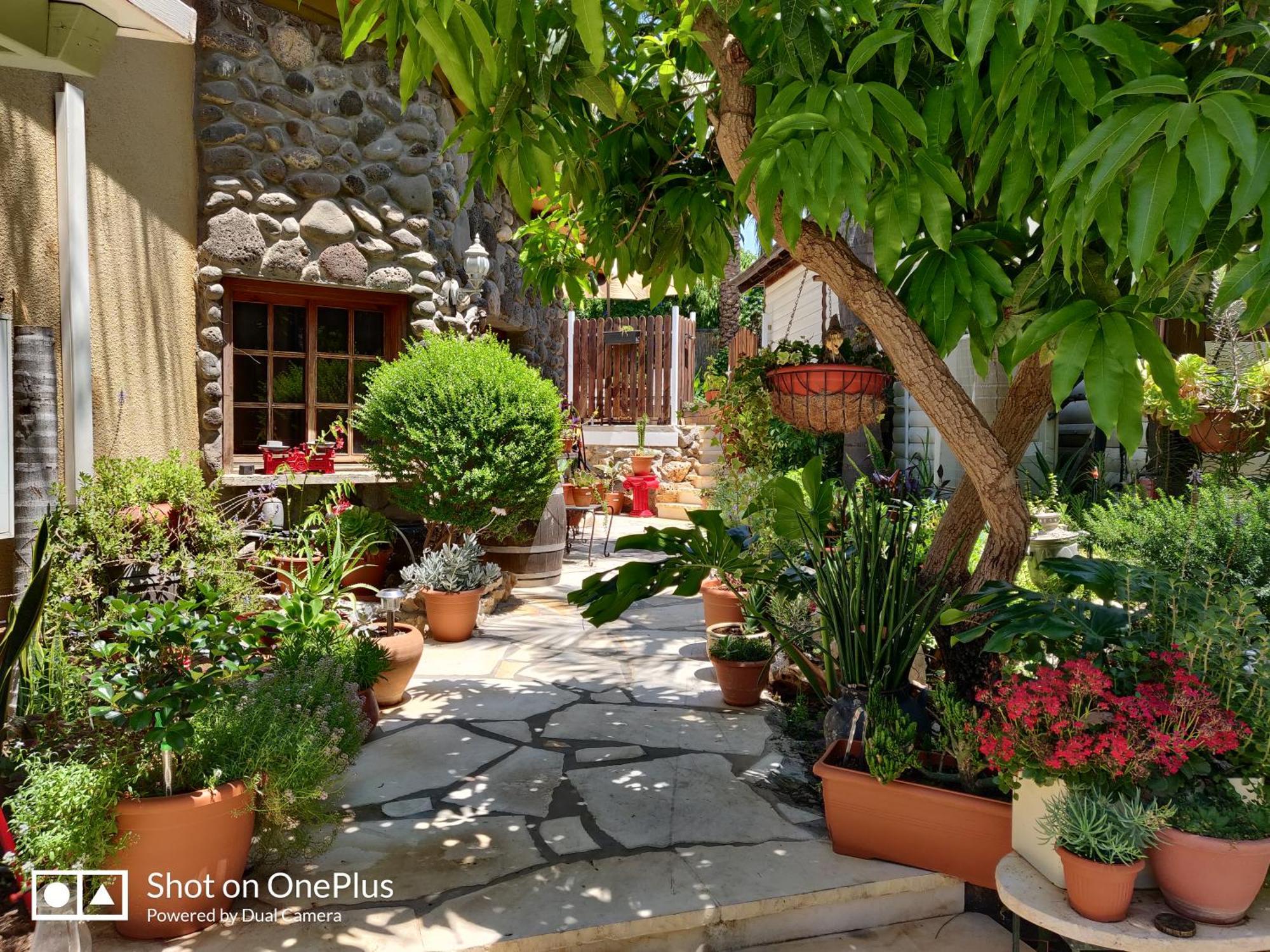 Out Of Africa Resort Had Nes Oda fotoğraf